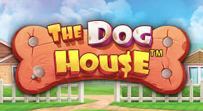 The dog house